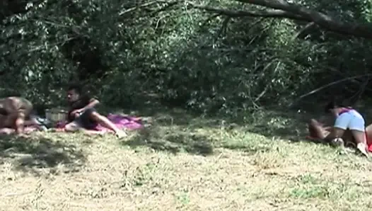 A Picnic in the Park Turns Into a Huge Foursome
