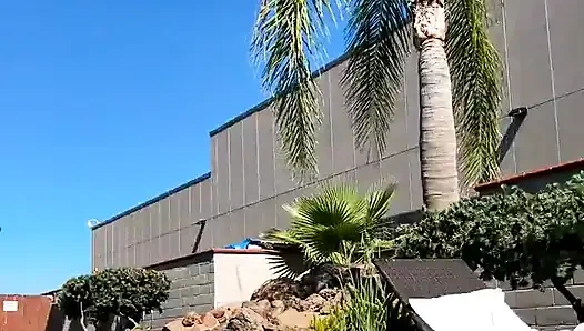 Stream Start Tanning