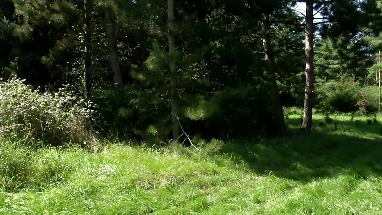 Porn Style in Germany - Scene #08