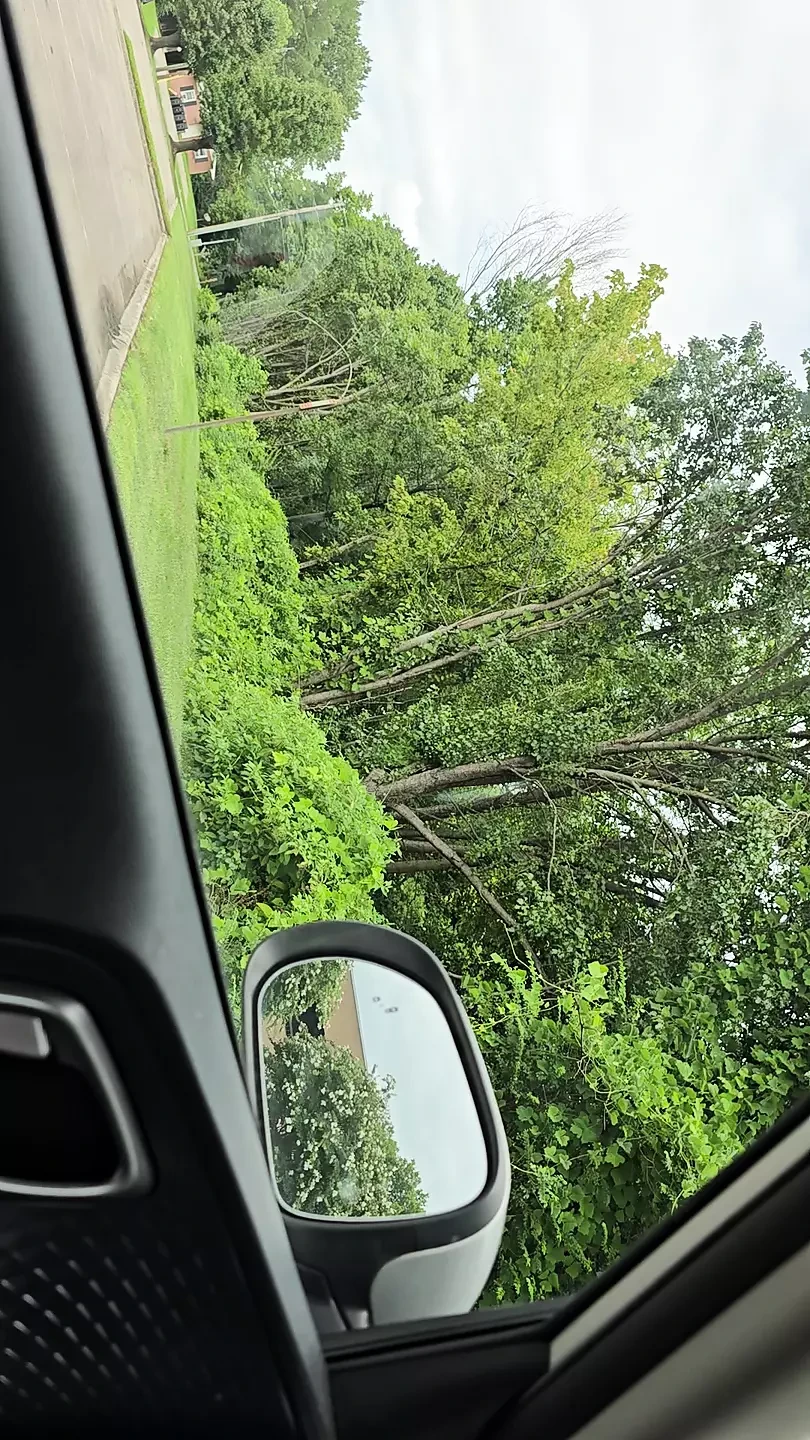 Dirty Whore Toys Her Cunt To Squirting Orgasm In Random Parking Lot.