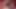 ShadySpa - ジジ・スターとラオス・ラティーナの4人手マッサージセックス