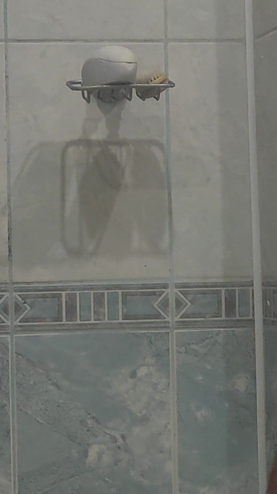 My Hairy Body and Dick