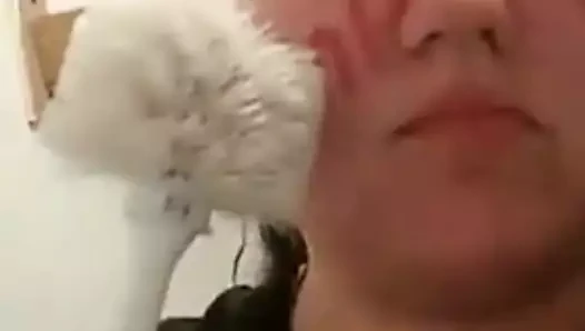 Sürtük