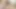 Natural Hairy Girls Masturbating - Compilation