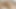 大きな胸を持つ美しいタイ人女性が喜んでチンコをしゃぶり、それに乗る。