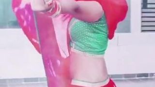 Saree strip