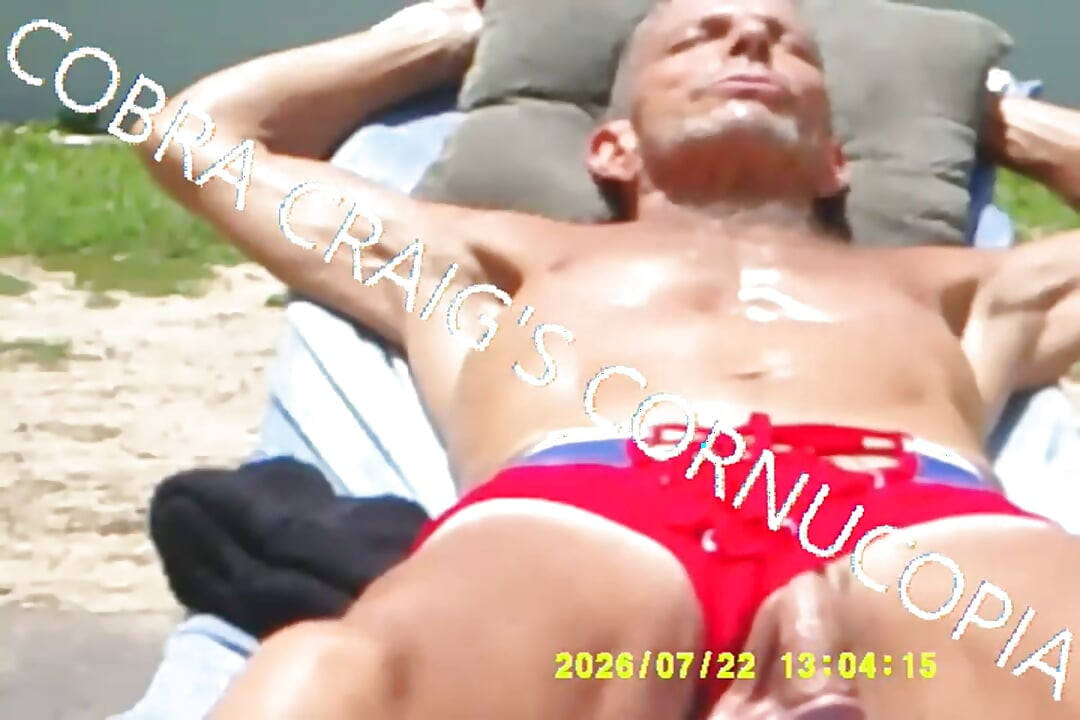 7-19-2026 the Cock the Sun Singing Venus Was Her Name Free Bird Wishing You Were Here