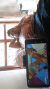 Pregled videozapisa