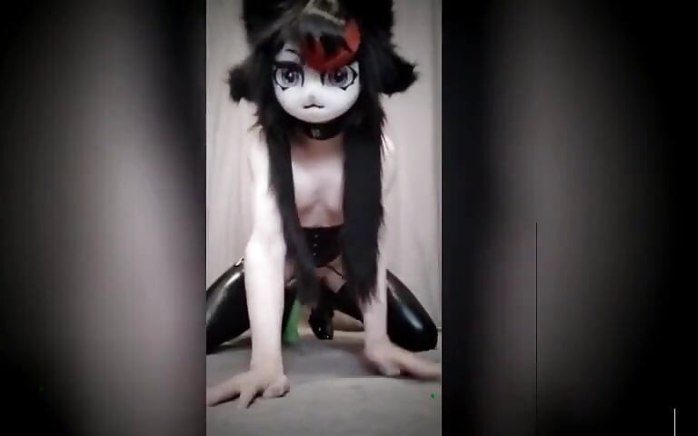 เฮนไตขนดก Kigurumi Kittie