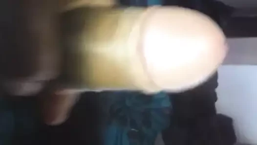 Anka kuşu
