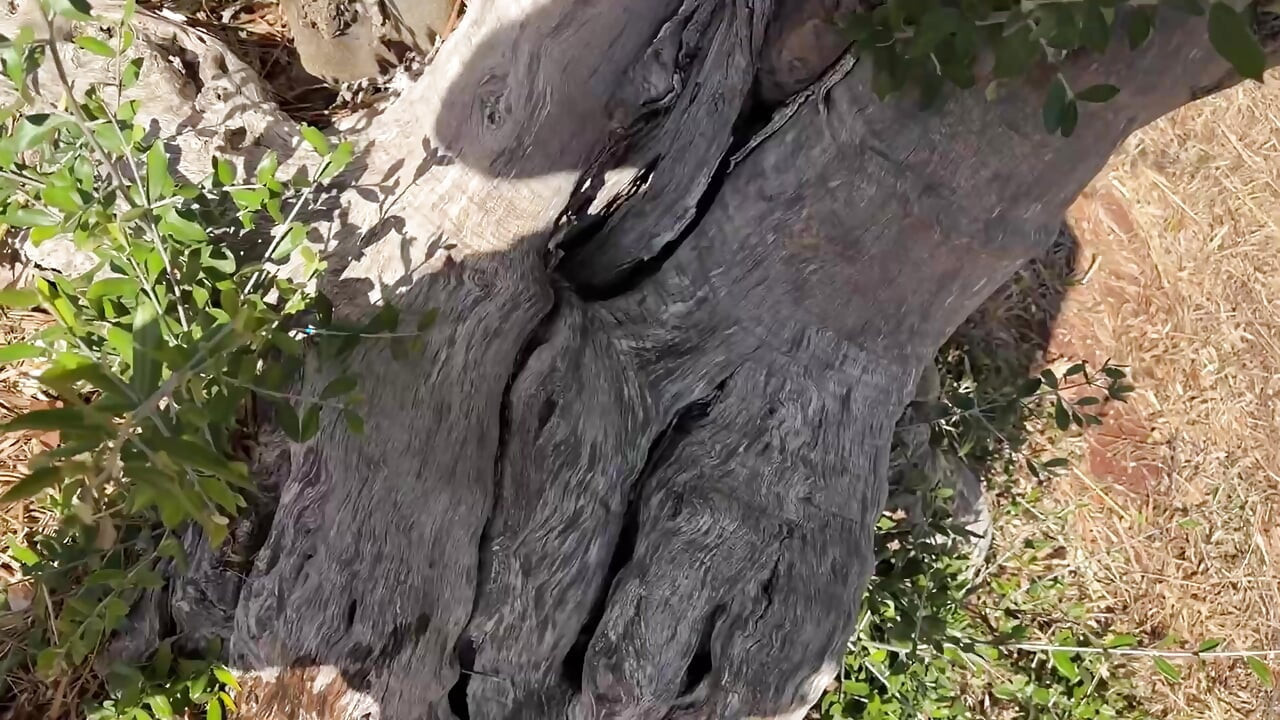 Última meada de vacaciones - Momento arriesgado al aire libre y despedida en el aeropuerto