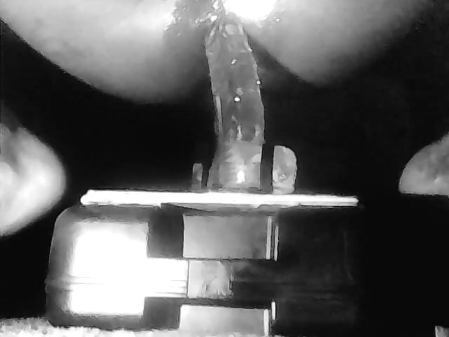 Legs open 711