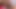 Raw Organic Pussy Closeup Doggy Sex.. Caught on Cam
