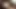 Sex Doll 11