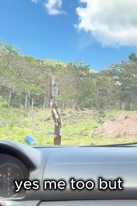 Sexy MILF Desperate for Money Gets Boned by Farmer - POV