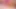 Jess ryan si gadis webcam lagi asik twerking memeknya pakai dildo
