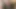Who pulls the shutter release