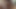 BEARFILMS Hairy Bear Jack Dixon Barebacks Hunky Bottom