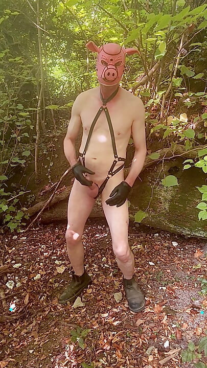 Man Outside In Woods With Nice Erection