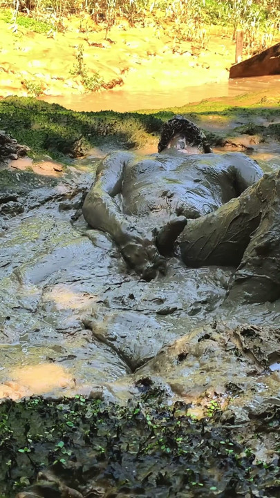 MUD SUBMISSION | Clip 2