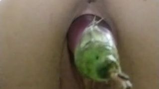 Latina fucks eggplant
