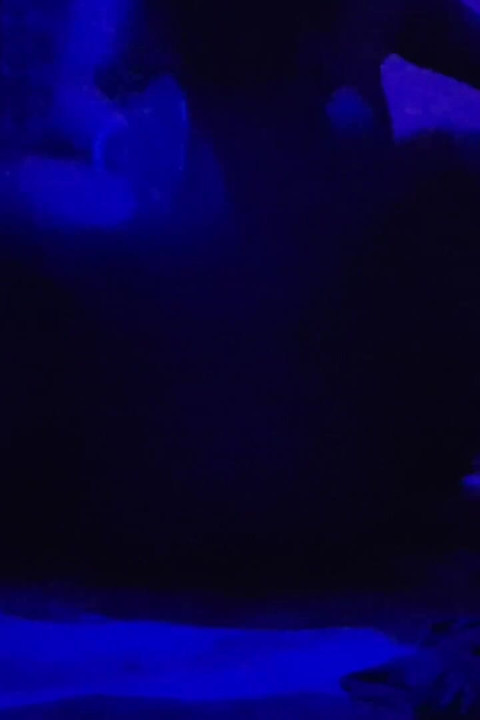 Stepsister Made a Whore and Left Her Dirty Street Sex Video