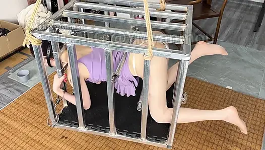 Iron Cages Hang From the Popcorn Shell