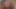 早起きは虫をもらう(笑)