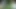Mobile porn video – Sweet Teenie Baby Bunny