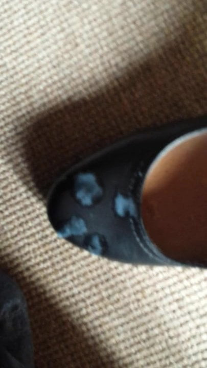 Cum Shoe Masturbate