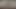 Solo uzun saçlı esmer Milana May sanal gerçeklikte seksi çıplak vücudunu sergiliyor.