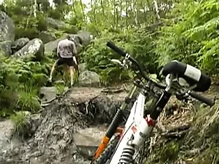 vtt