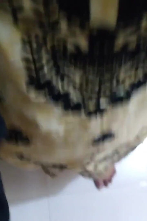 Dirty Stepaunty Fucked by Her Stepson While Cleaning House