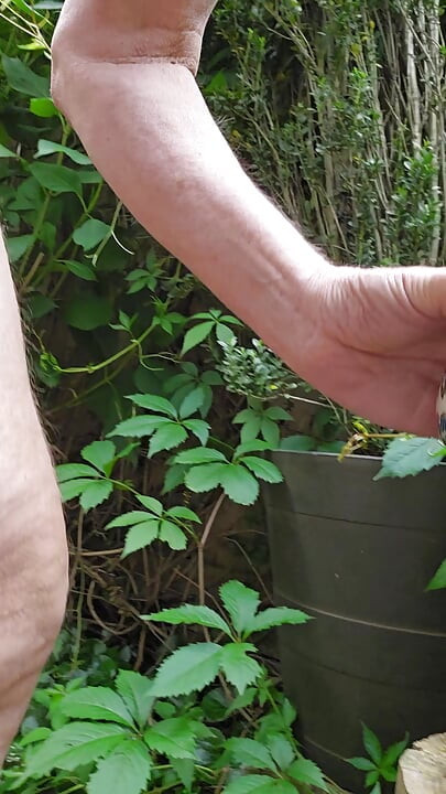 Backyard Coffee