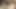 Kadınlar nasıl porno izliyor, anlatılamayan Bengal hikayesi.