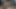 ファップハウス4のためにビッチを壊して