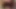 Blowjob Tease