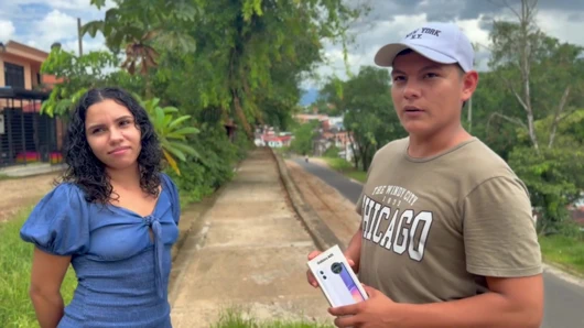 Saat melakukan pasar di jalan, mereka secara tidak sengaja jatuh ke halaman kami.