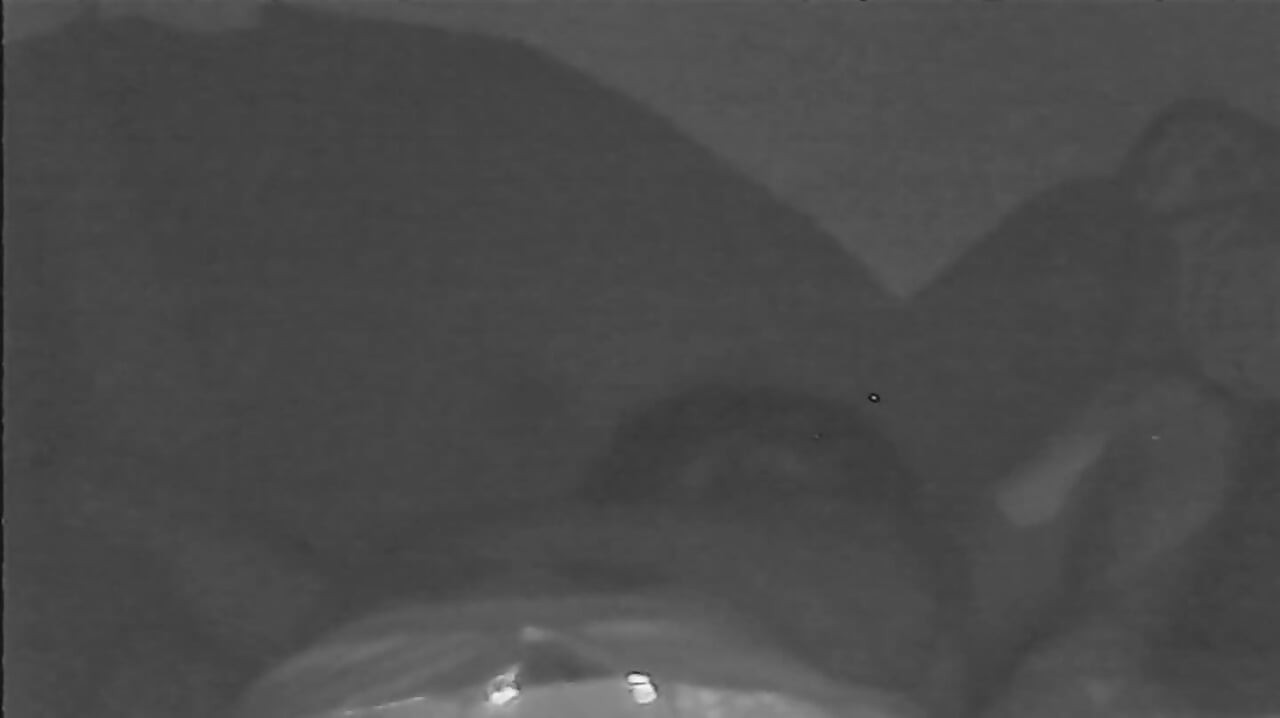 Fucking my fucking schoolgirl in the night