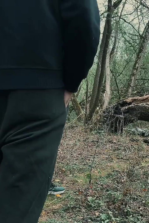 Forest Cruising