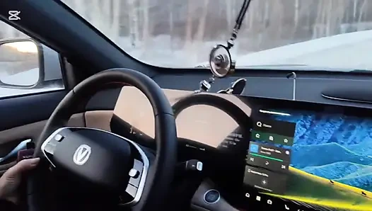 Winter Drive: Seks di dalam Mobil