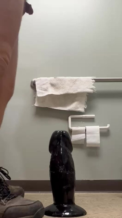 Levando o dinossauro