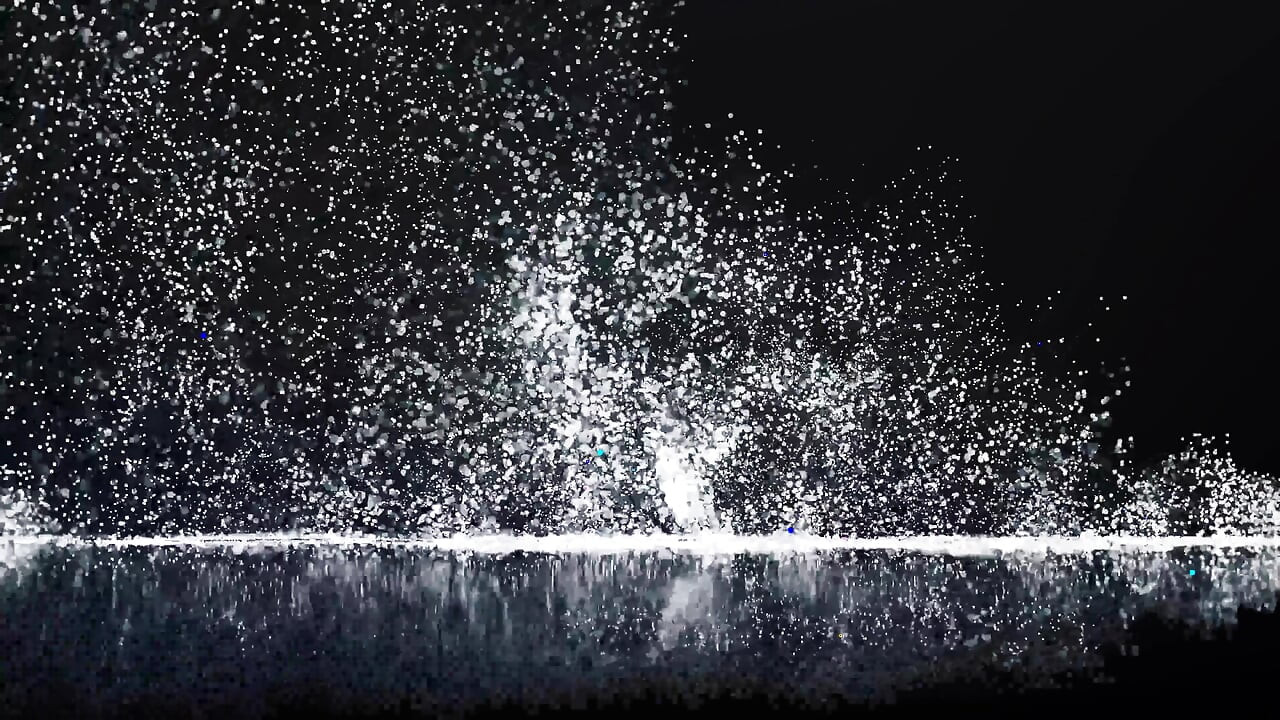 홀리의 크림 같은 고백