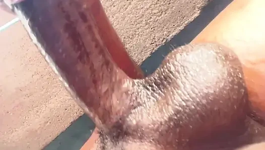 Großer stier bereit, desi großen schwanz mota lamba land zu ficken