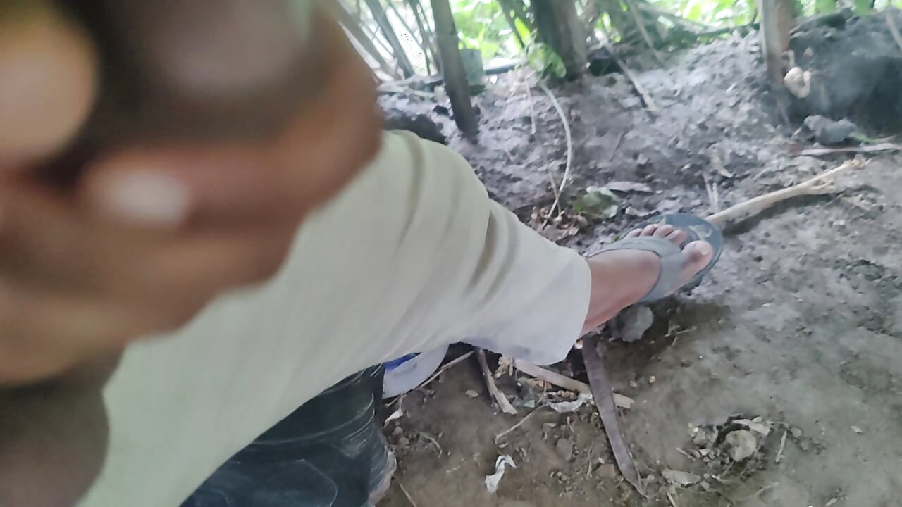 A small black cock
