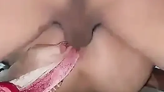 Hintli domaltarak yakın çekim