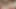 Mutual masturbation with stepsister, tight pussy, huge dick