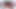 ミア・モロトフ インタビュー