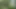 A Russian nudist walks around completely naked in nature