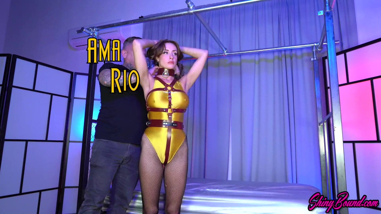 ハーネスと苦闘